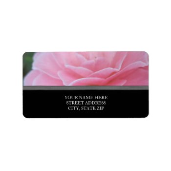 Pink Rose Address Labels by lifethroughalens at Zazzle