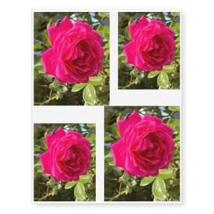 Pink Rose and a Fly Temporary Tattoos