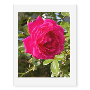 Pink Rose and a Fly Temporary Tattoos