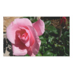 Pink Rose and Bud Floral Rectangular Sticker