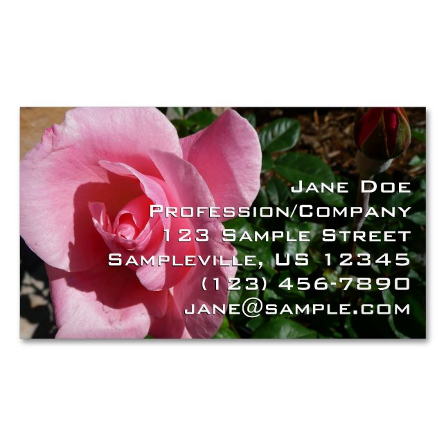 Pink Rose and Bud Garden Floral Business Card Magnet (Front)