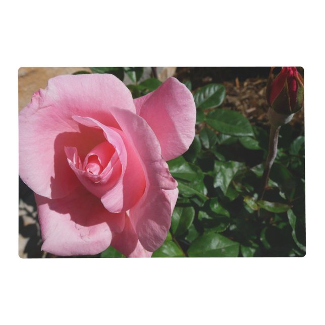 Pink Rose and Bud Garden Floral Placemat (Front)