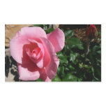 Pink Rose and Bud Garden Floral Rectangular Sticker