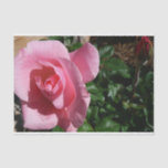 Pink Rose and Bud Garden Floral Tissue Paper