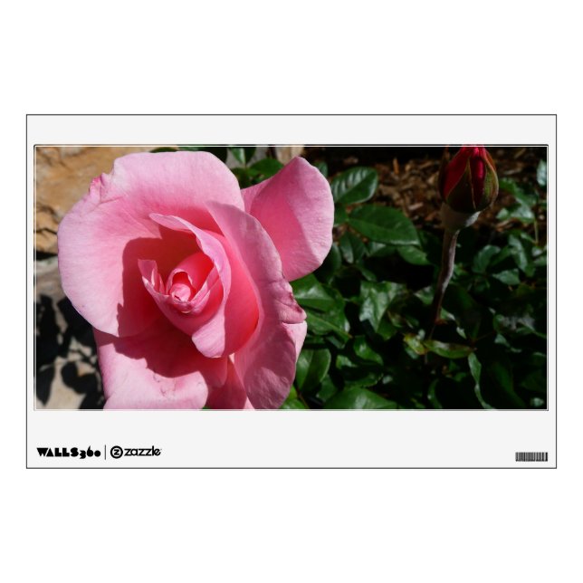 Pink Rose and Bud Garden Floral Wall Decal (Front)