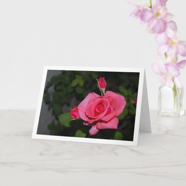 Pink Rose and Rose Buds Portrait Card (Orchid)