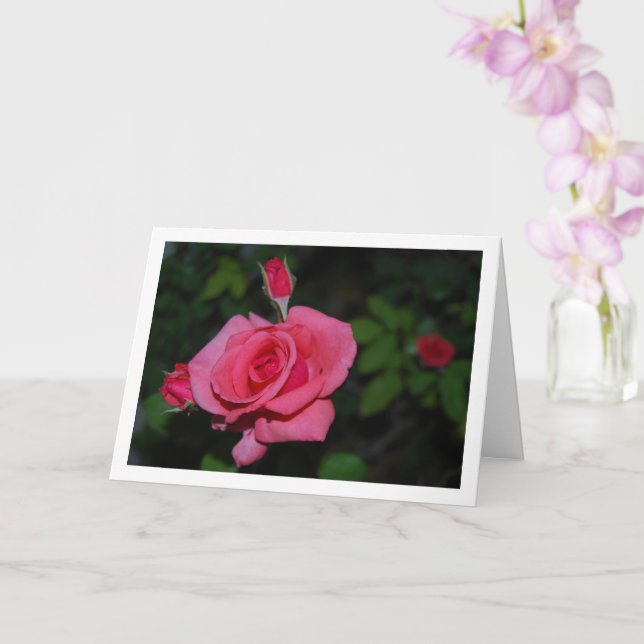 Pink Rose and Rose Buds Portrait Card (Orchid)
