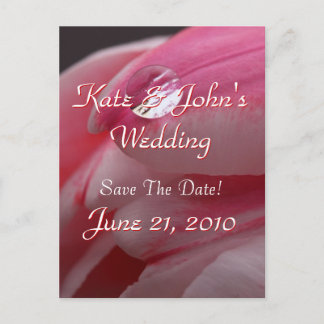 Pink Rose Announcement Postcard