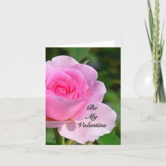 PINK ROSE/BE MY VALENTINE/PLEASE SAY YOU ALWAYS WI