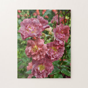 Pink rose beauty jigsaw puzzle