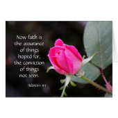 Pink Rose, Bible verse (Hebrews) on faith hope (Front Horizontal)