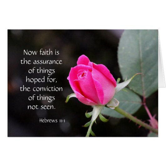 Pink Rose, Bible verse (Hebrews) on faith hope (Front Horizontal)