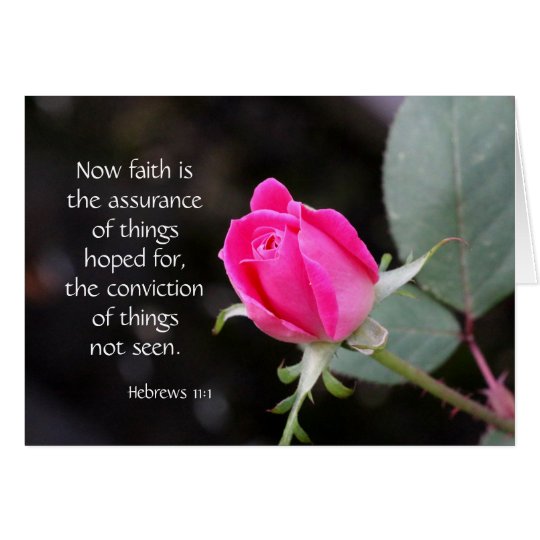 Pink Rose, Bible verse (Hebrews) on faith hope