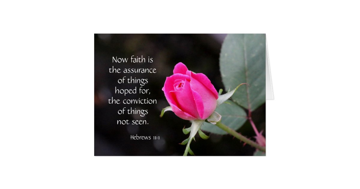 Pink Rose Bible Verse Hebrews On Faith Hope Zazzle Com