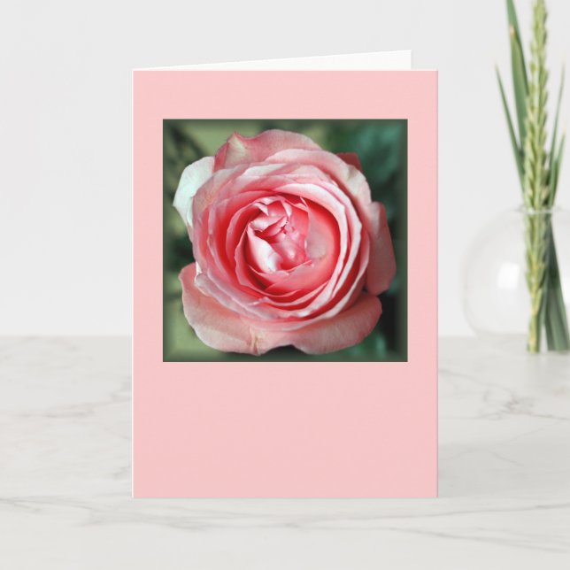 Pink Rose (Blank) Card (Front)