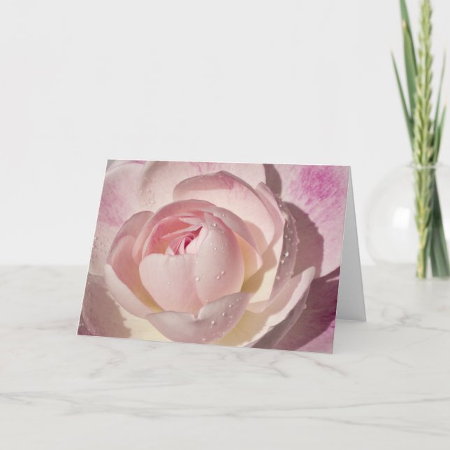 Pink Rose Blank Greeting Card (Front)