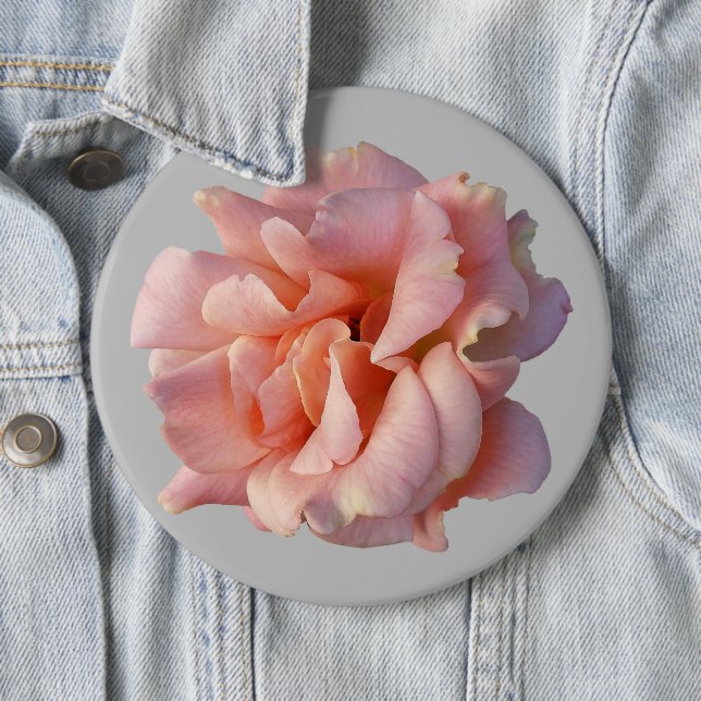 pink rose bloom button (In Situ)