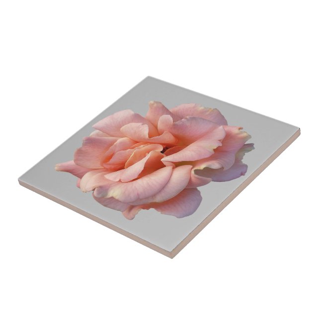 pink rose bloom ceramic tile (Side)