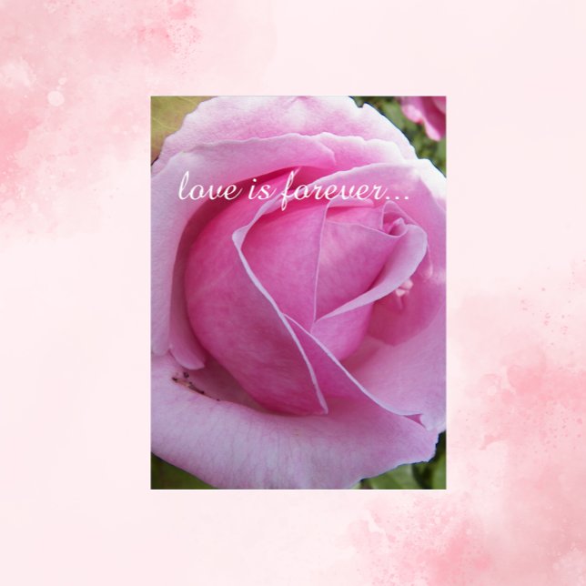 Pink Rose Bloom Personalized Marriage Proposal Card (In Situ)