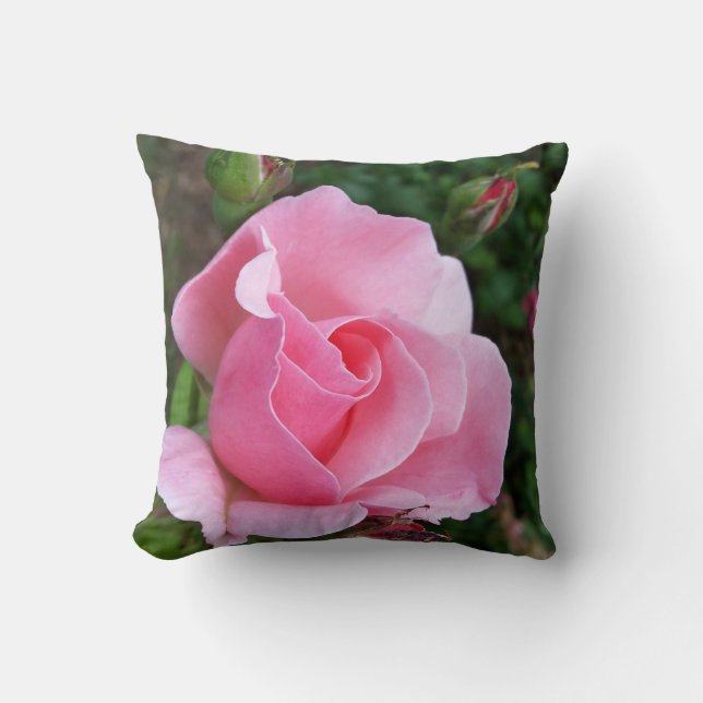 pink rose blooming throw pillow (Front)