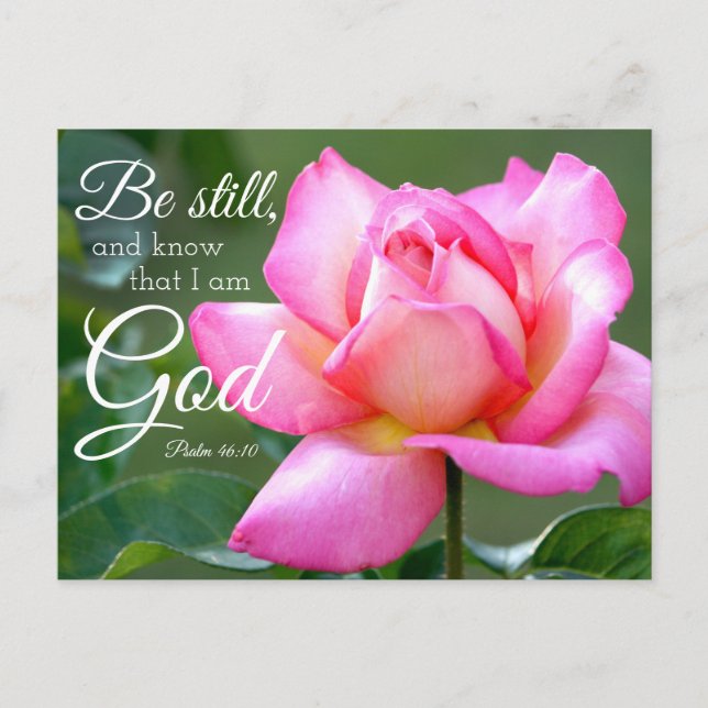 Pink Rose Blossom Be Still Psalm 46:10 Postcard (Front)