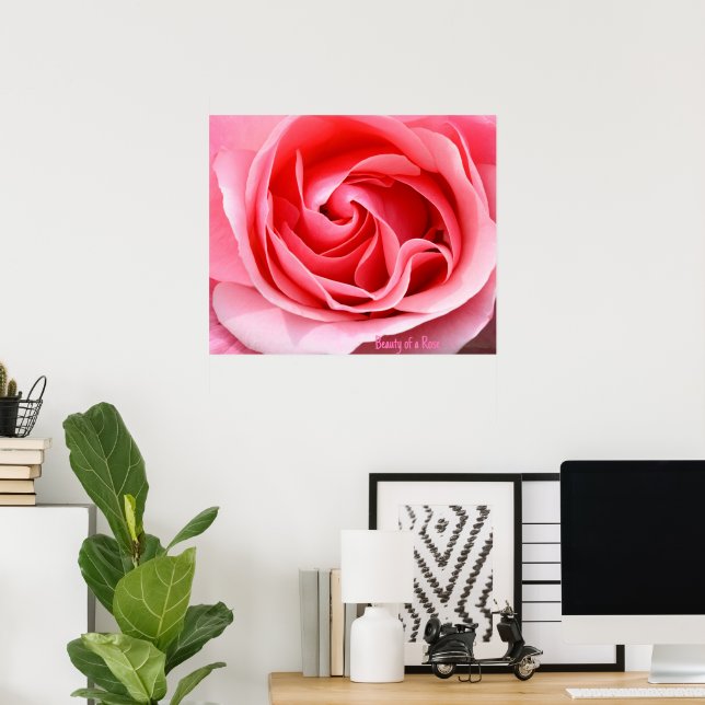 Pink Rose Blossom Print Beauty of a Rose (Home Office)