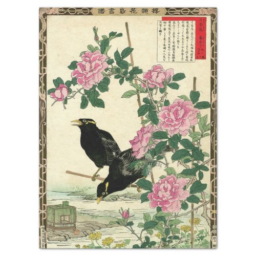 Pink Rose Blossoms  Black Bird Oriental Decoupage Tissue Paper
