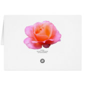 Pink Rose - Blue Cards (Back Horizontal)