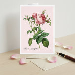 Pink Rose Botanical Art Note Card