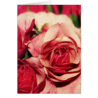Pink Rose Bouquet Fine Art Photograph Cards