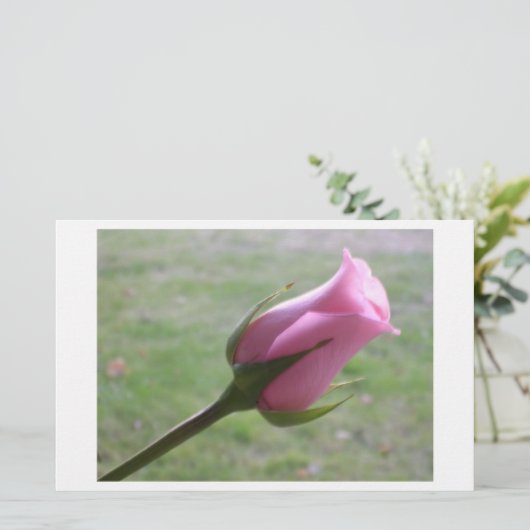 pink rose bud (Standing Front)