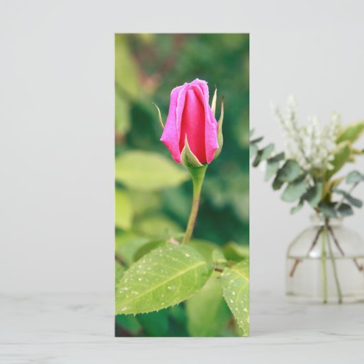 Pink rose bud (Standing Front)