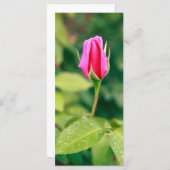 Pink rose bud (Front/Back)