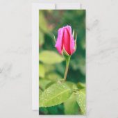 Pink rose bud (Front)