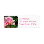 Pink Rose Bud Mailing Labels