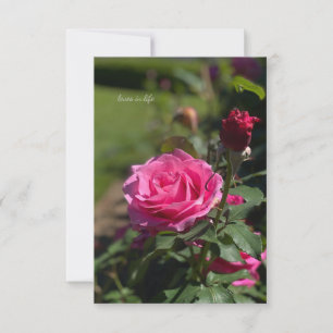 Pink Rose & Bud Note Card