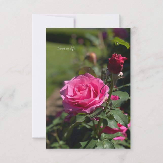 Pink Rose & Bud Note Card (Front)