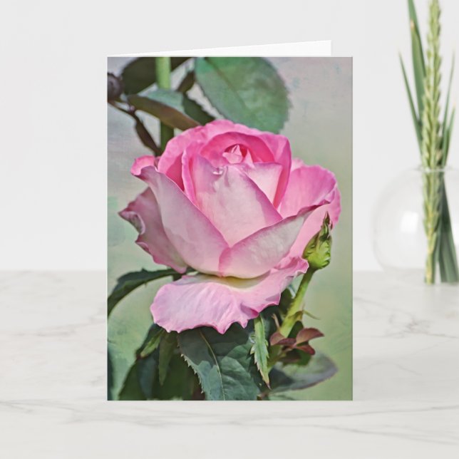 Pink Rose Budding Out Art Note Card (Front)