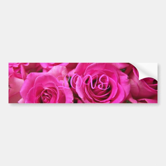 Pink Rose Bumper Sticker (Front)