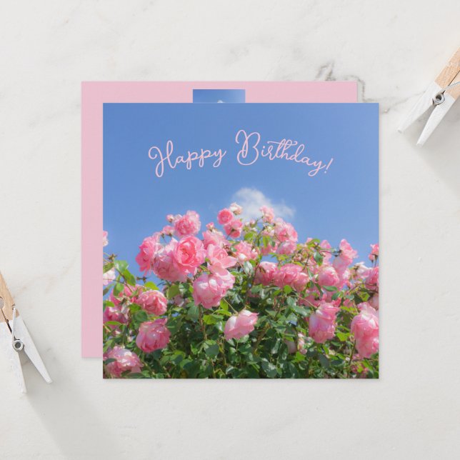 Pink rose bush under blue sky, custom  (Front/Back In Situ)