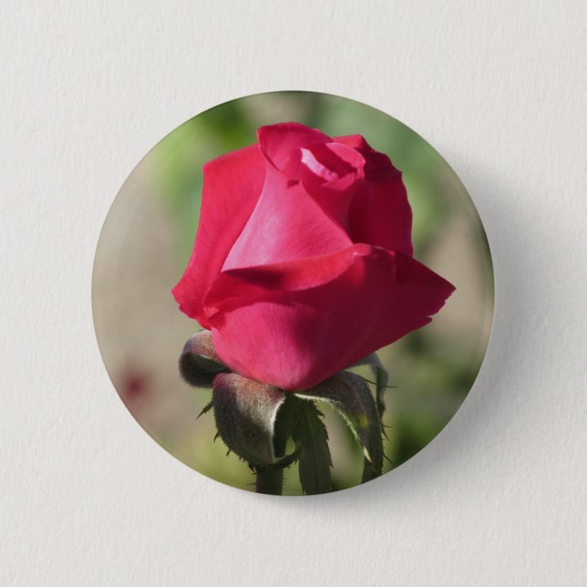 Pink Rose Button (Front)