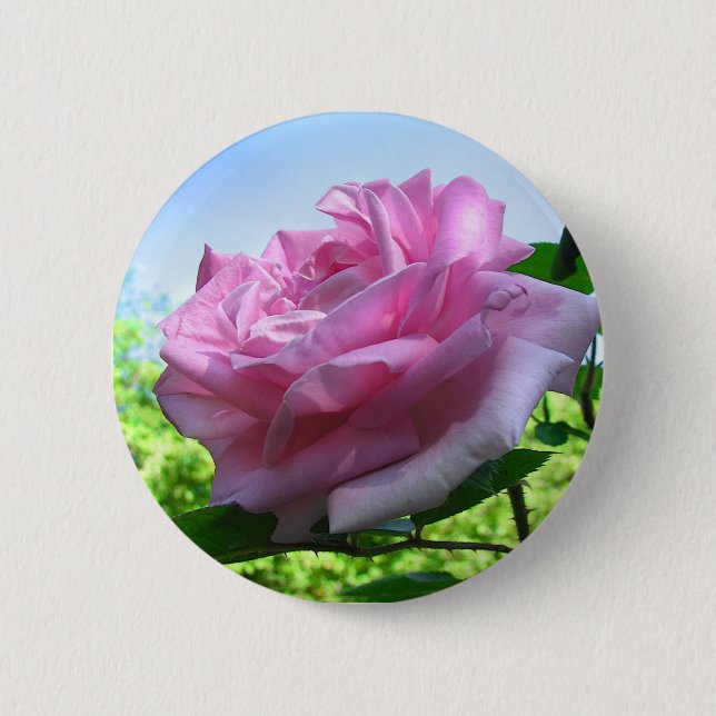 Pink Rose Button (Front)