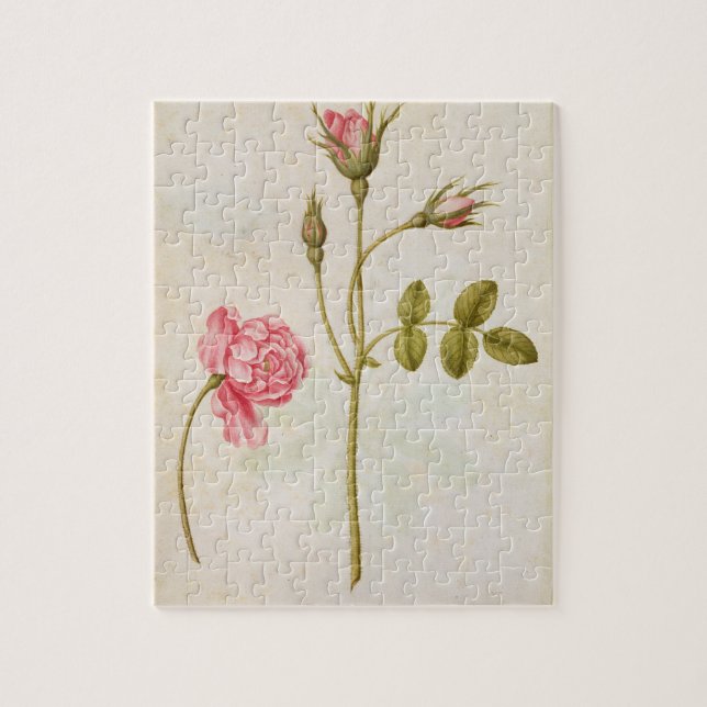 Pink Rose, c.1568 Jigsaw Puzzle (Vertical)