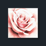 Pink Rose Canvas Print<br><div class="desc">Pink Rose I by Grace Popp. Features an up-close rose in a beautiful muted palette.</div>