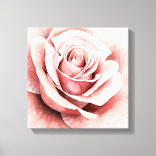 Pink Rose Canvas Print