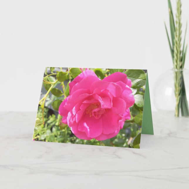 Pink Rose Card (Front)