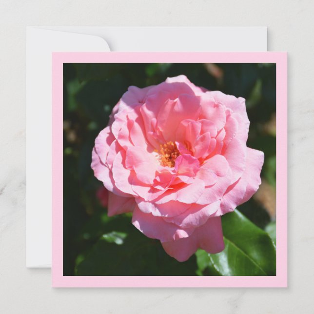 Pink rose card (Front)