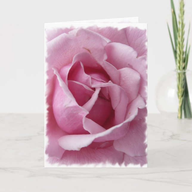 Pink Rose Card (Front)