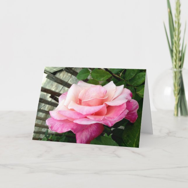 Pink Rose Card (Front)