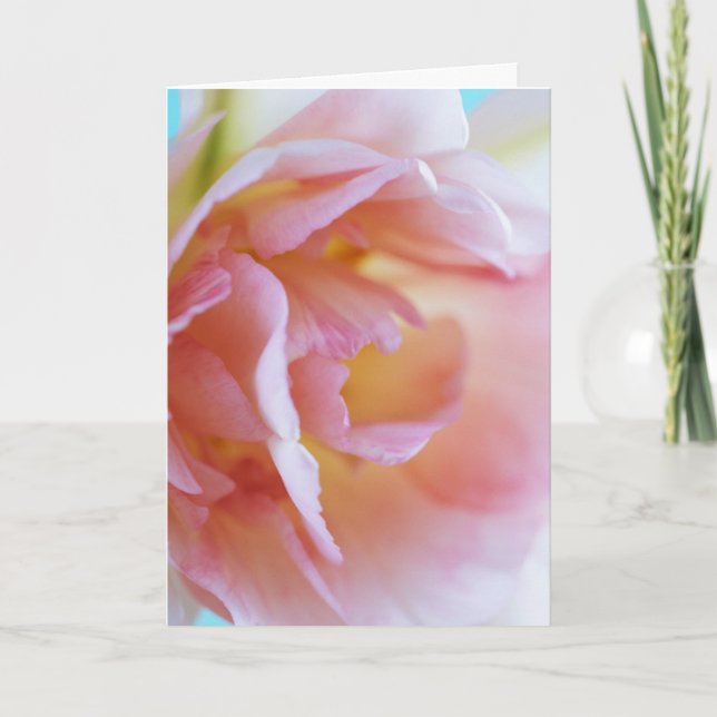 Pink Rose Card (Front)